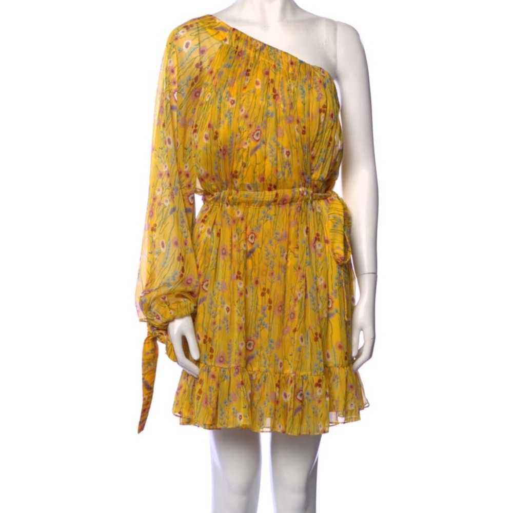Alexis Floral Print Mini Dress